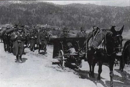 Traino animale del pezzo da 75/13 Skoda